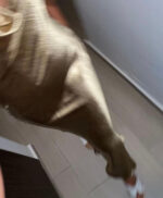 Mariposa haljina - Slika 3